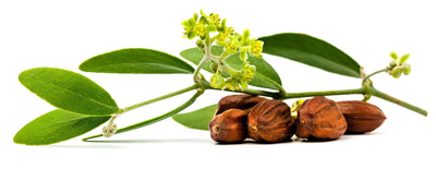 da46ceab-e543-4045-b89e-7406cae6bf2f