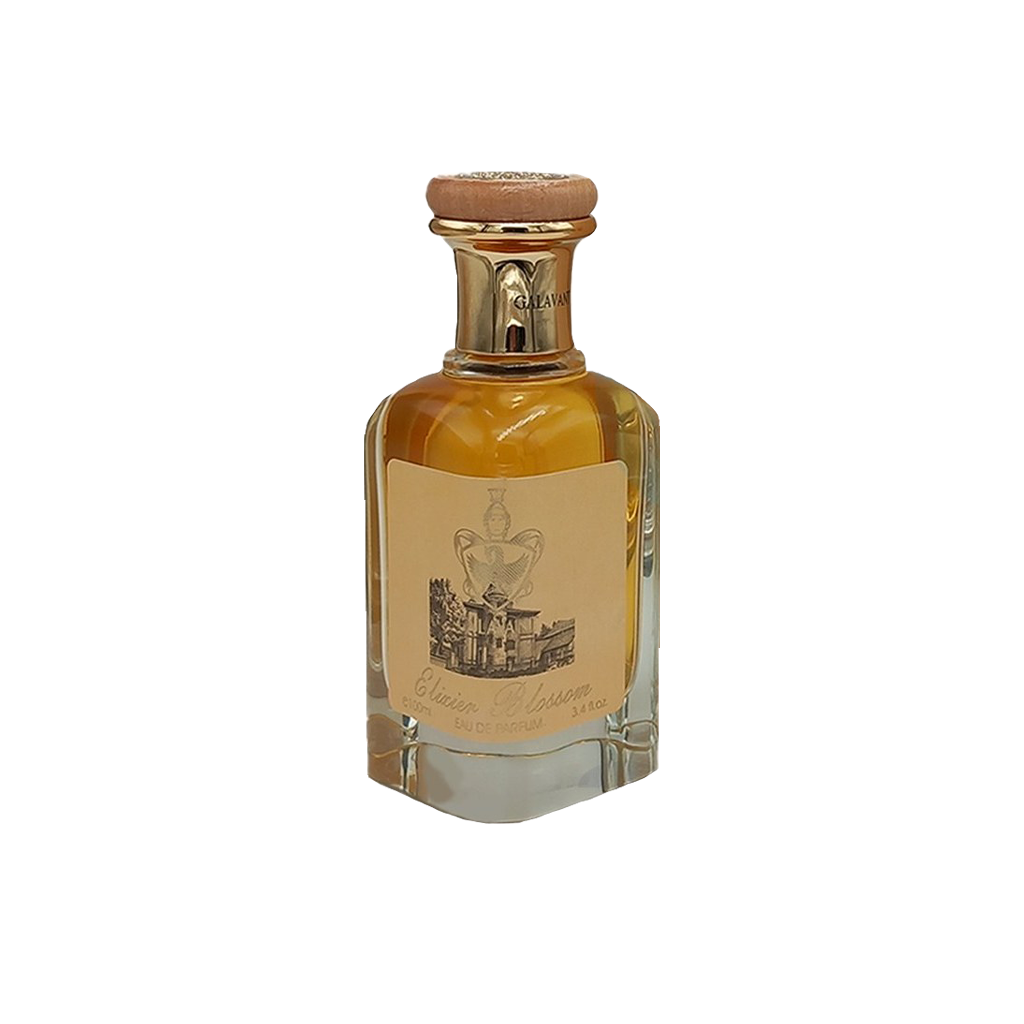 ادوپرفیوم الکسیر بولسوم گالاوانت